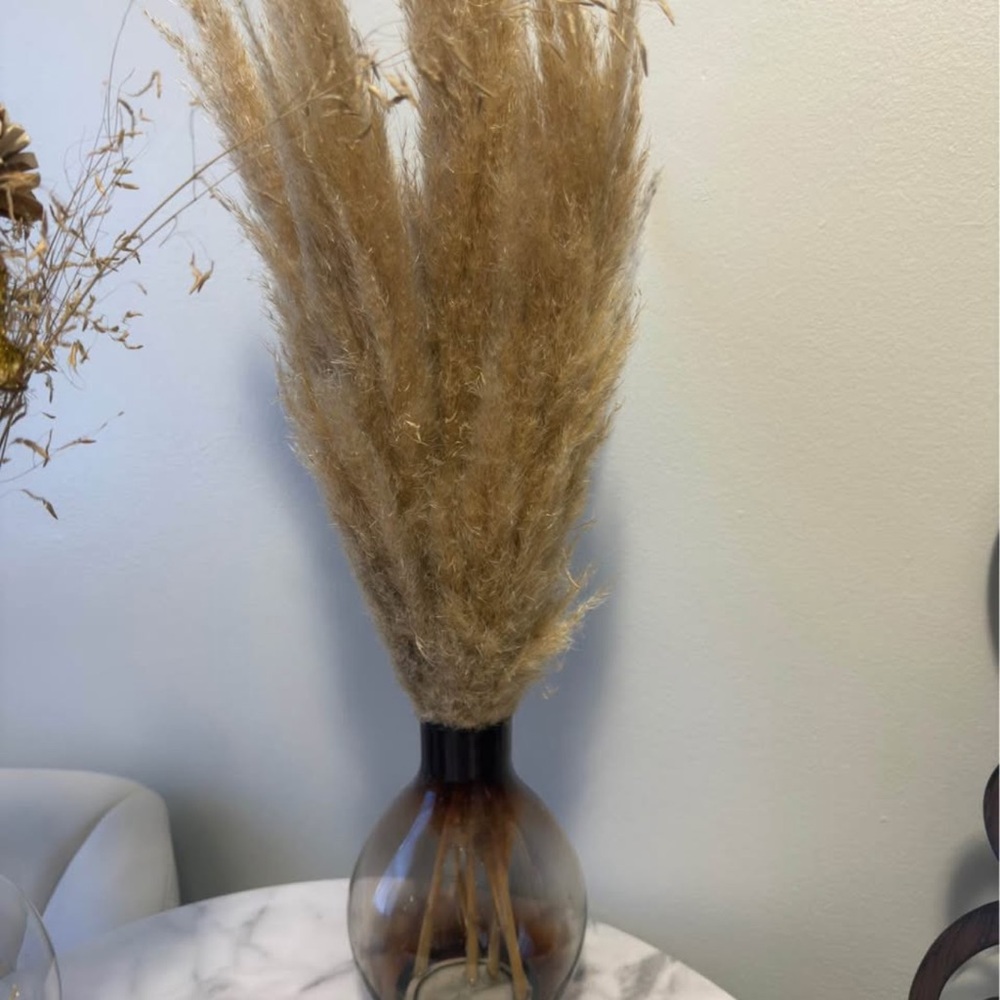 Elegant Brown Pampas Grass in Glass Vase
